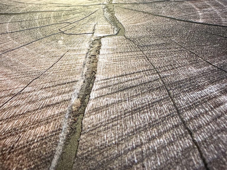 DurstP5 350 Detail Relief